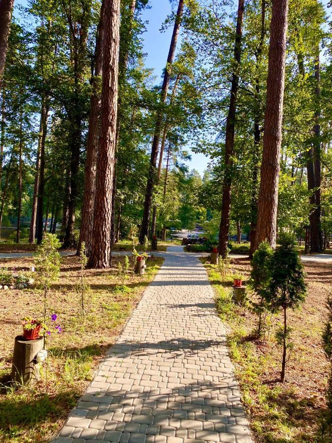 Resort Stariy Prud Pylypovychi Eksteriør billede